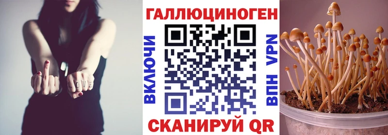 Галлюциногенные грибы ЛСД  Купить закладки  Унеча 
